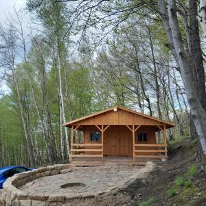 Domki Na Winnicy的森林中间的小木屋