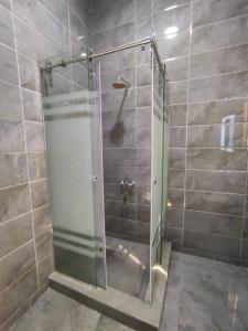 卢克索Villa Elkoumy Apartments的浴室里设有玻璃门淋浴
