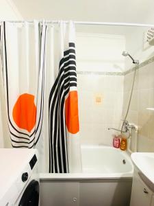 巴甫洛达尔1-комнатная квартира的带浴缸和淋浴帘的浴室