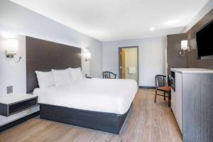 尼亚加拉瀑布尼亚加拉大瀑布/水牛城戴斯旅馆&套房酒店的酒店客房设有一张大床和一台电视。