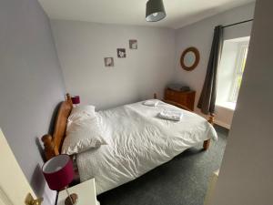 布莱奈费斯蒂尼奥格Antur Cottage的卧室配有白色的床和窗户。