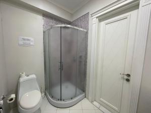 巴库Studio Apartment的带淋浴和卫生间的浴室。