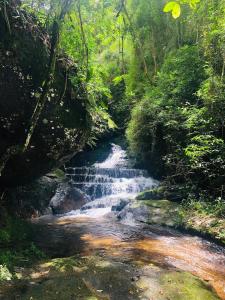 彼得罗波利斯Quinta da Torre 7 suítes Cachoeira SPA aquecido的森林中间的小溪