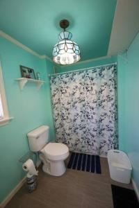 Little House by the Brook的浴室设有卫生间和花卉淋浴帘