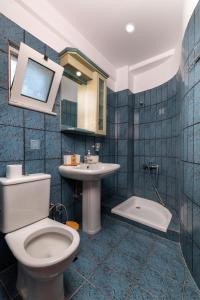 依拉佩特拉Porto Lygia Apartment的一间带卫生间和水槽的浴室