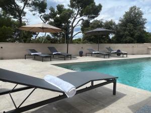 罗维尼Villa Salteria 3, pool, private territory, pinery的游泳池旁设有躺椅和遮阳伞