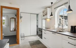 海松1 Bedroom Nice Home In Hadsund的厨房配有白色橱柜和水槽
