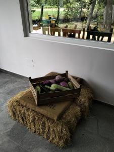 MoscufoAGRITURISMO TERRAPIA的一堆干草上放着一盒蔬菜