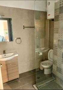 尼基亚娜EXOTIC LUXURY APARTMENT的浴室配有卫生间、盥洗盆和淋浴。