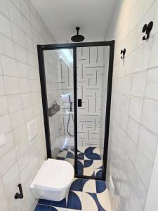 法鲁The Singular - Downtown Studio的一间带卫生间和淋浴的浴室