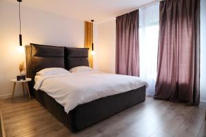 莫伊西德约斯RDT Guest House-Rai din Transilvania的一间卧室设有一张大床和一个大窗户