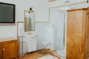 MurówDa Enzo的带淋浴、卫生间和盥洗盆的浴室