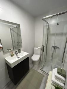 阿尔巴塞特Green Suite的带淋浴、盥洗盆和卫生间的浴室