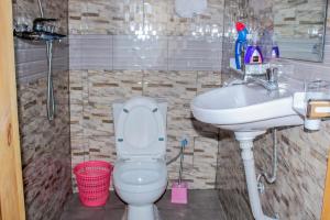 RubavuGreen Safaris Apartment的一间带卫生间和水槽的浴室