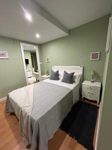 阿尔巴塞特Green Suite的一间卧室设有一张大床和一个窗户。