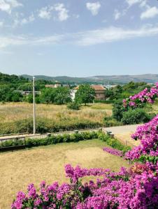 蒂瓦特Peaceful, Cosy Tivat Guesthouse的田野上花粉红色的花园