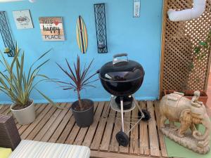 马拉加Casa Vista Maroma的铺有带植物的木地板的烧烤架
