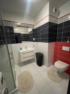 热舒夫Apartamenty Warszawska II的浴室配有卫生间、盥洗盆和淋浴。