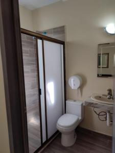 阿瓜斯卡连特斯Hotel Posada California的一间带卫生间和水槽的浴室