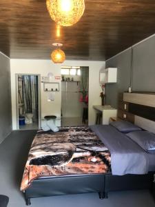萨兰托Makana apartastudio的一间卧室配有一张大床和一个吊灯。
