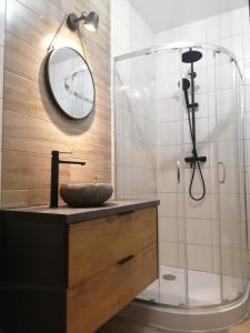 特切夫Apartament Kozigród的浴室配有盥洗盆和带镜子的淋浴