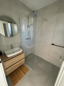 Šajdíkove HumenceMeet & Golf的带淋浴、盥洗盆和镜子的浴室