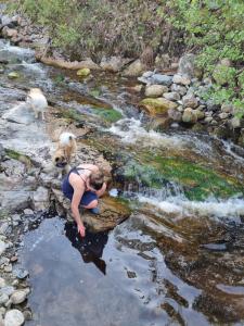 FyresdalØyfoss overnatting的站在溪流中的女人和狗