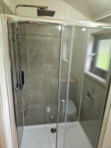 卡纳芬Woodland Shepherds Hut - 'Saga'的浴室里设有玻璃门淋浴