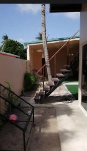 图鲁斯杜Tropical stay Thulusdhoo的一座有楼梯和棕榈树的房子