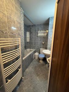 里拉Centaur Family Hotel的浴室配有卫生间、浴缸和水槽。