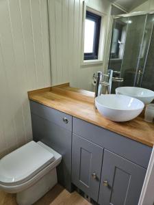 卡纳芬Woodland Shephards Hut - 'Aristocrat'的一间带水槽、卫生间和镜子的浴室