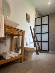圣米格尔-德阿连德Casa Matia Bed and Breakfast的一间带卫生间、水槽和镜子的浴室