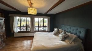 蓬塔阿雷纳斯Hospedaje Isla Magdalena的卧室配有带枕头的床铺和窗户。