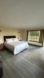 蓬塔阿雷纳斯Hospedaje Isla Magdalena的一间卧室设有一张大床和一个大窗户