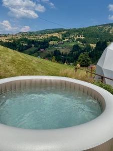 阿列谢尼WildGlampingArieseni的圆形热水浴池,享有山丘美景