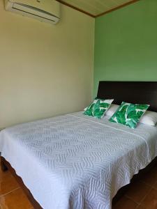 福尔图纳Volcano View Apartment的卧室配有白色床和2个绿色枕头