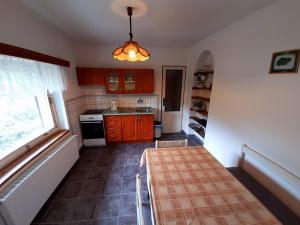 耶什赫维采Apartmány Waldex的厨房配有木制橱柜和桌子。