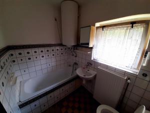耶什赫维采Apartmány Waldex的带浴缸和盥洗盆的浴室