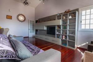 本图贡萨尔维斯Casa confortável e aconchegante的带沙发和电视的客厅