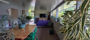 努库希瓦PENSION TOKA EVA的一间设有桌子、植物和沙发的房间