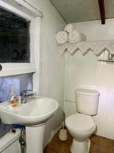 威廉斯港Refugio El Cauque的白色的浴室设有卫生间和水槽。