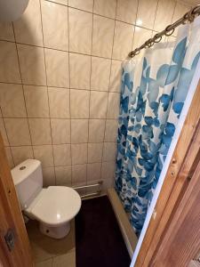 AlantaSodyba Vilagio的一间带卫生间和淋浴帘的浴室