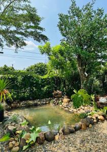 邦美蜀Tam An Lakeview House的花园中的一个池塘,花园内种有岩石和树木