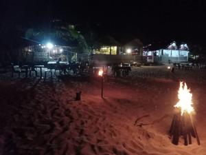 亭可马里Elegant Green Beach Resort的沙滩上晚上的火