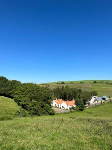 BorthwickBorthwick Farm Cottage Pottery的草场上的一群房子