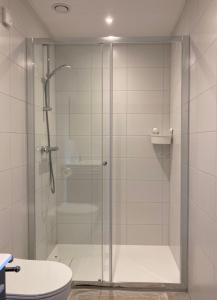 MolkwerumB&B Stations Koffiehuis的一间带卫生间的浴室内的玻璃淋浴间