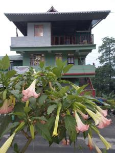 佩林OYO Home Narayan Homestay & Adventures的前面有一束鲜花的房子