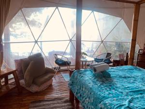 道因Glamping Dome Dauin Beach Resort的客房设有床和大窗户。