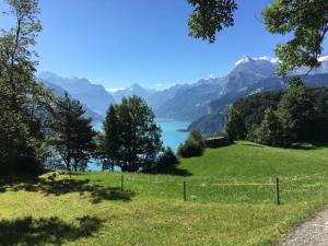 塞利斯贝格Guest Flat in the Swiss Mountains (Lake View)的享有湖泊和山脉景致的田野