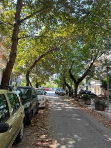 塞萨洛尼基Chic & Cozy Apartment的一条树木成荫的街道,路边有汽车停放